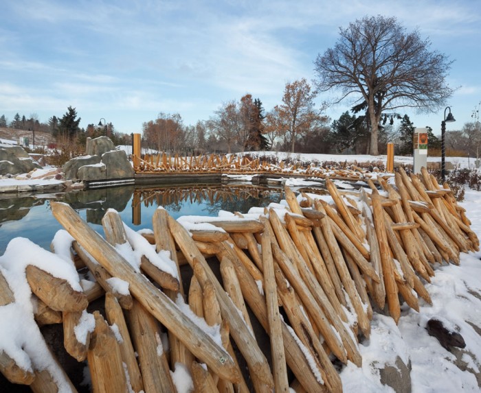 EdmontonZoo_12