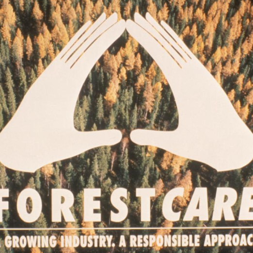 Environmental certification programs are introduced to establish consistent sustainability standards for forestry companies and to educate the public on the sustainability of the forest sector.