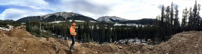 Alberta Forest Operations